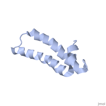 Mouse (non-immune) Serum IgG, purified,  25mg
