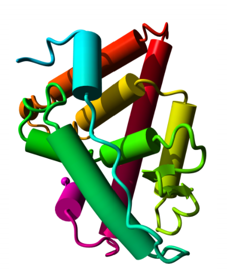 Human MMP-8 activity assay kit 96-assays